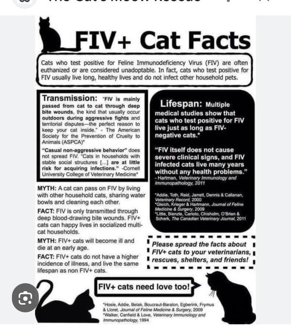 Horace (FIV+)