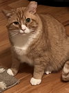 Horace - Photo 2