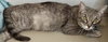 Flopsy - Photo 2