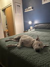 Fenway #1 - Photo 5