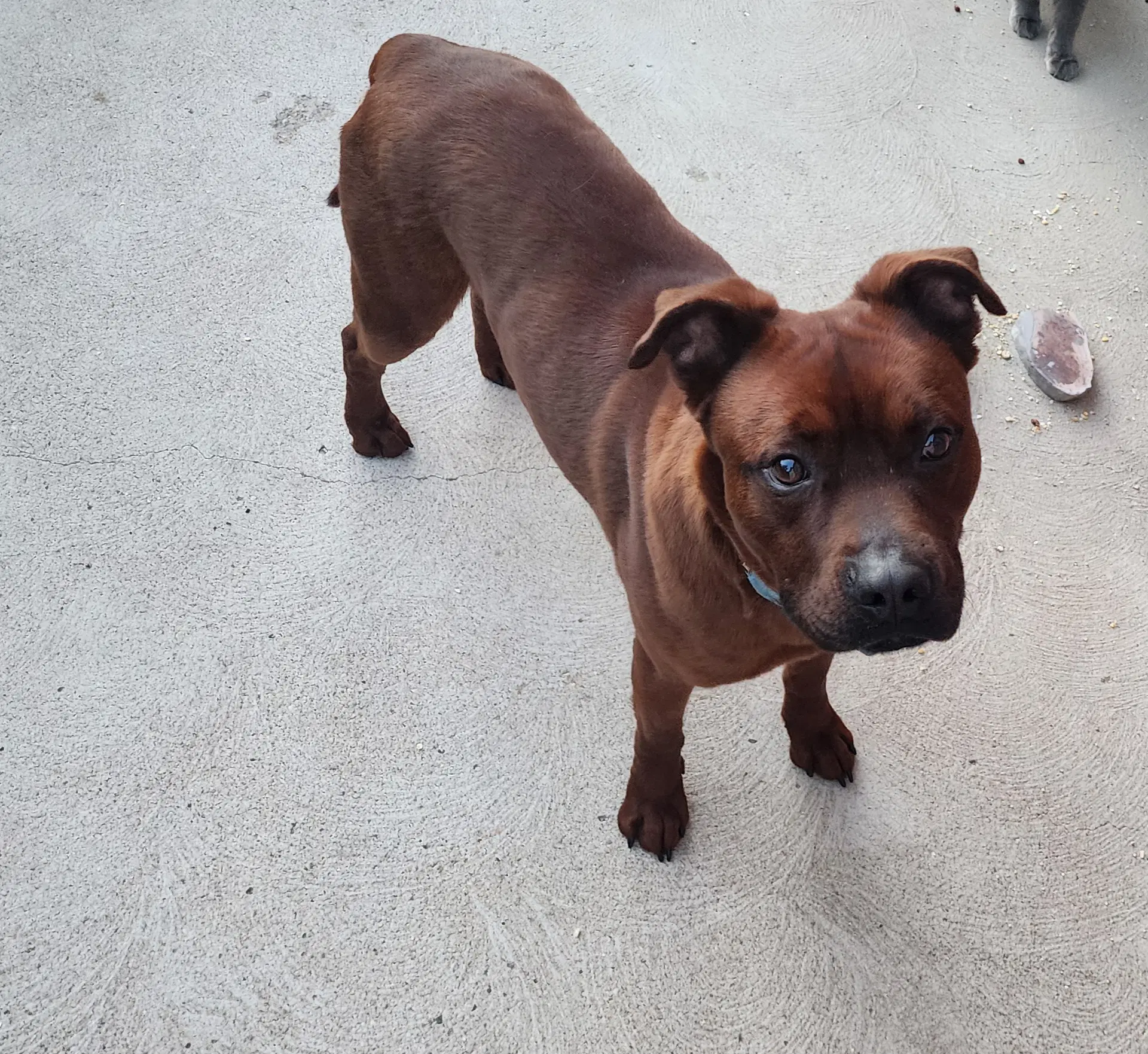Roscoe Courtesy image 4