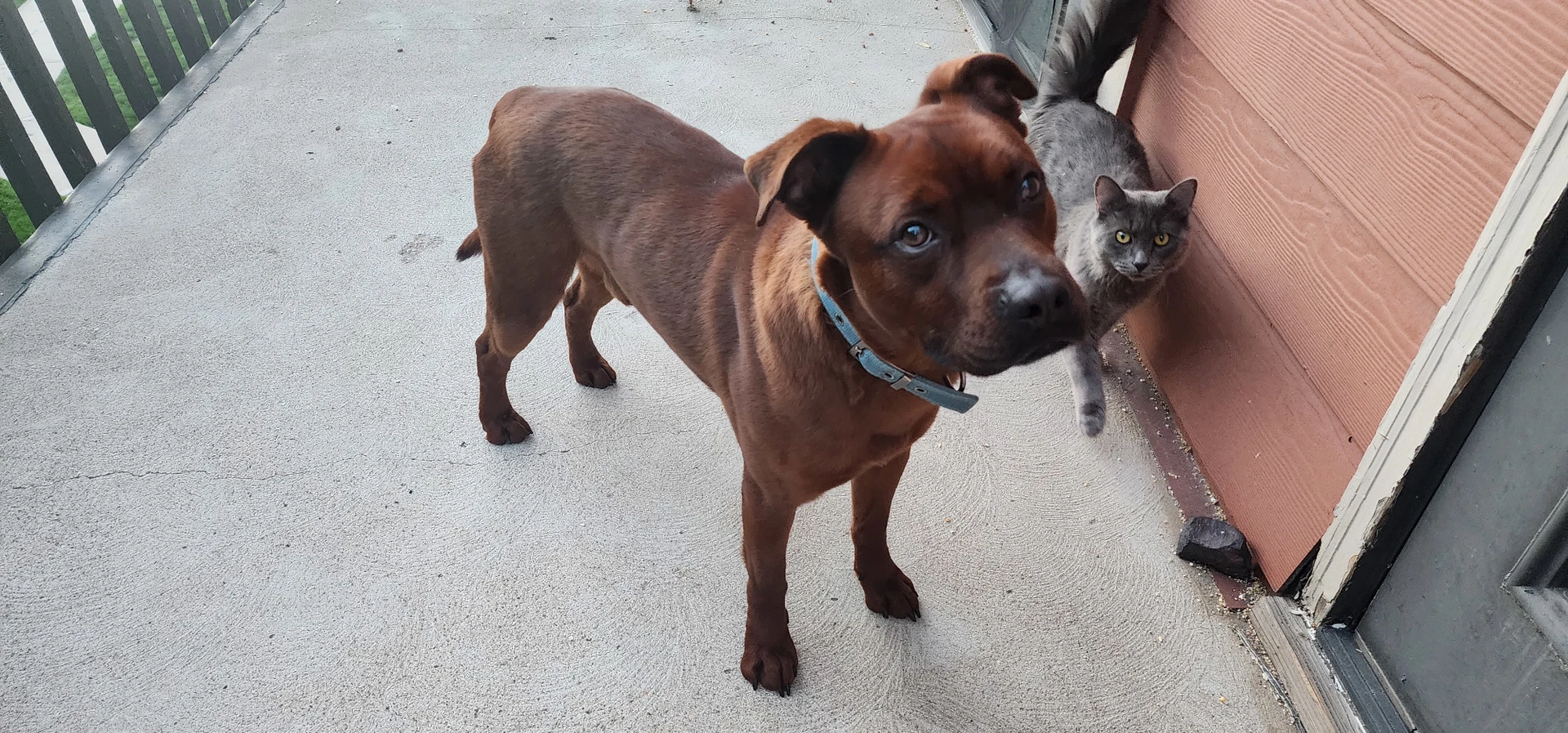 Roscoe Courtesy