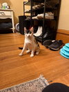 Tink - Photo 3
