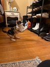 Tink - Photo 4