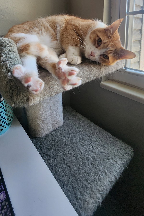 Oliver (FKA Gillion)