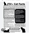 Cleveland (FIV+) - Photo 4