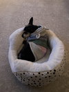 Princess #15 - Photo 3