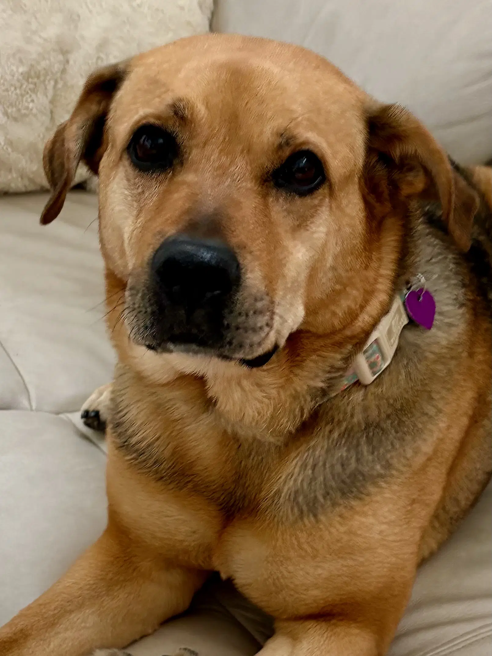 Sally image 2