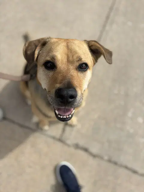 Sally image 4