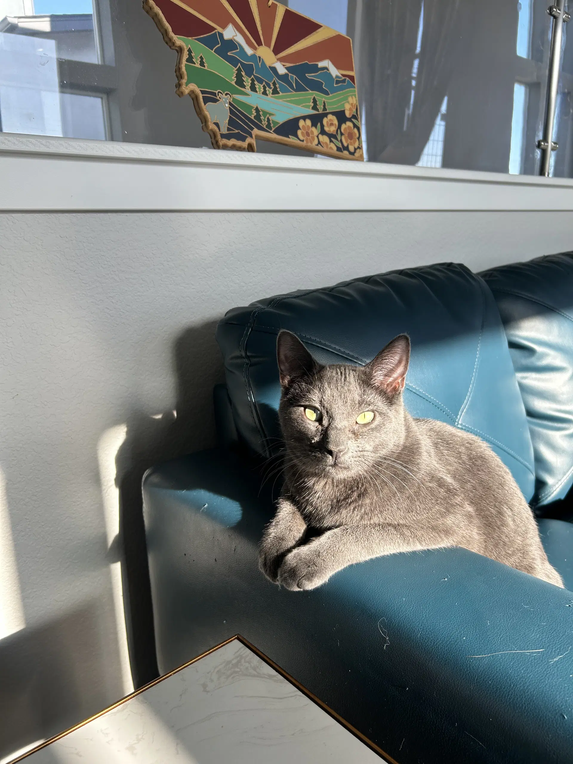 Cayenne image 3