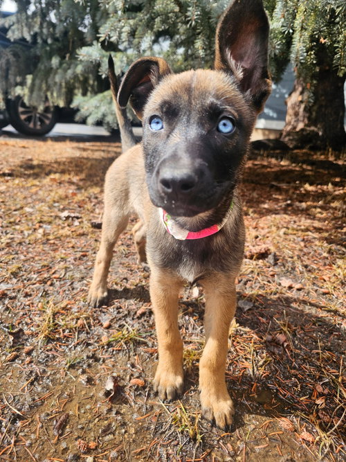 Zuri #1 photo 3