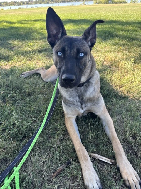 Zuri