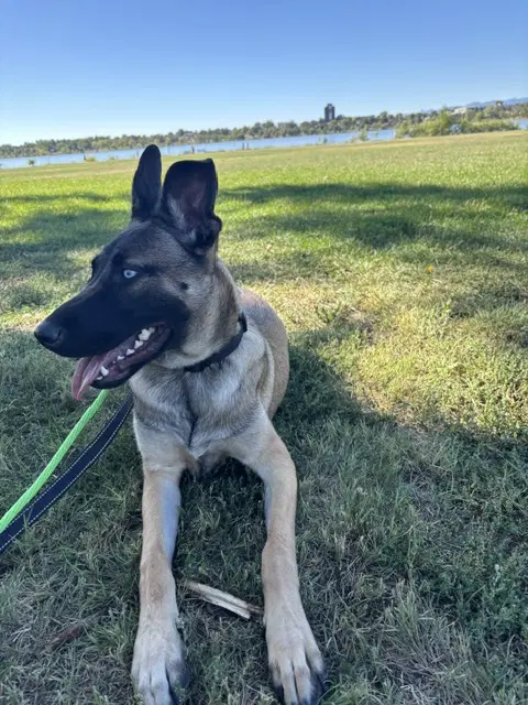 Zuri image 2