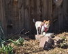 Frida #1 - Photo 2