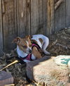 Frida #1 - Photo 3