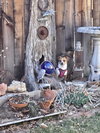 Frida #1 - Photo 4