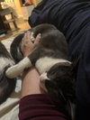 Dorian (Dory) + Jacob Blackington - Photo 4