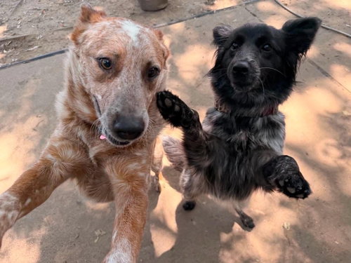 Aero photo 3