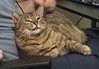Rigby - Photo 1