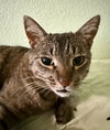 Rigby - Photo 3