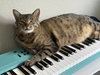 Rigby - Photo 4
