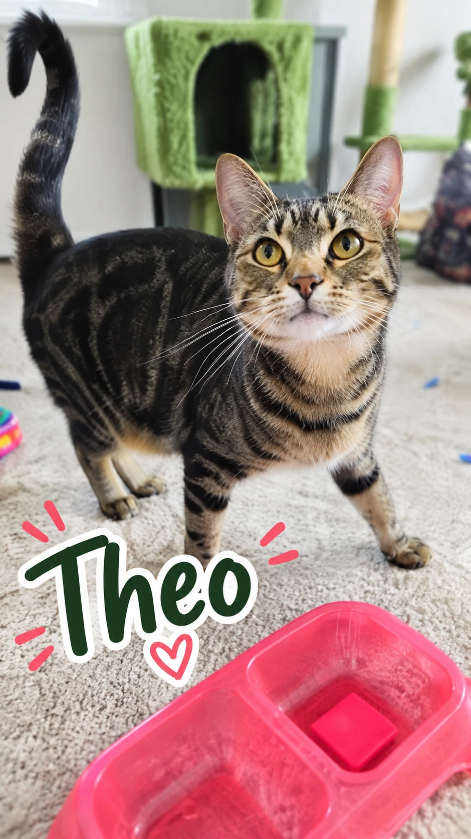Theodora And Nell Bonded