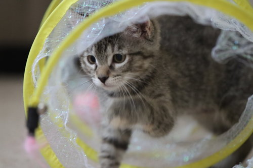 Miles photo 2