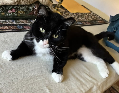 Tux