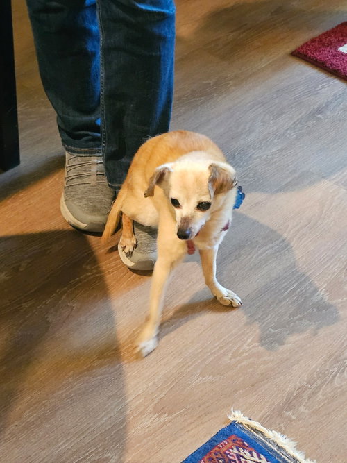 Bean (Courtesy), photo 4
