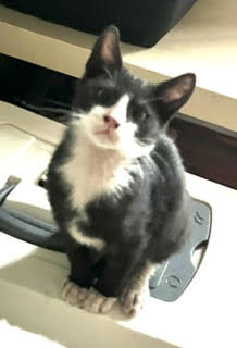 Junebug, photo 3