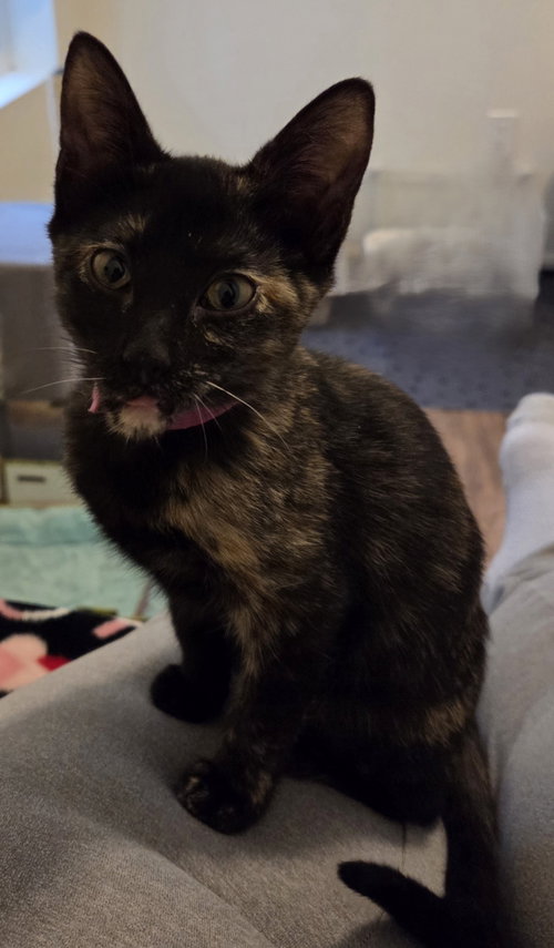 Photo 2 of Truffle
