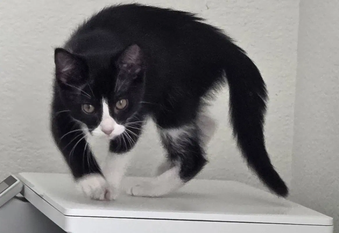 Wander image 2