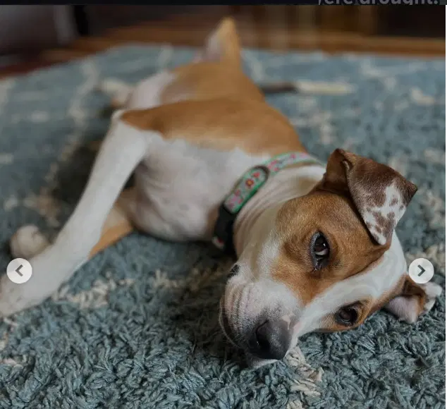 Otis Courtesy image 3