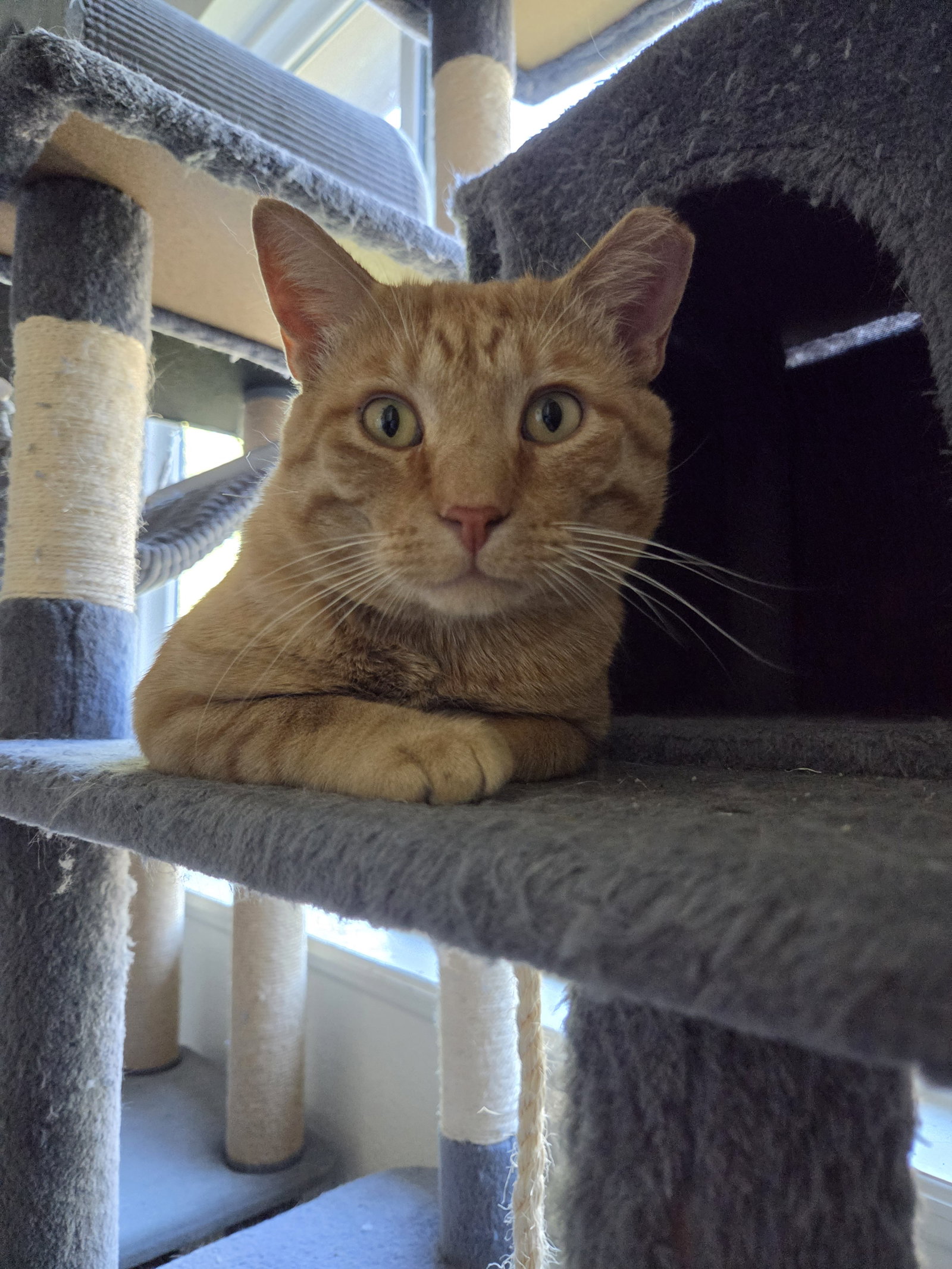 Doolin