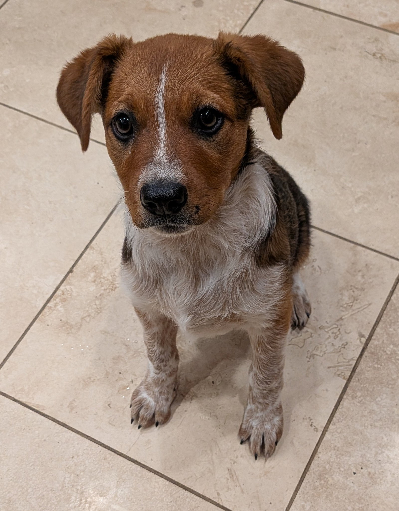 Ellie #7