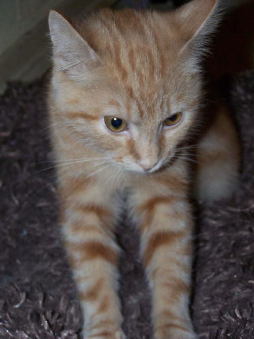 Lucy