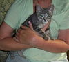 Josie