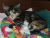 Wilma