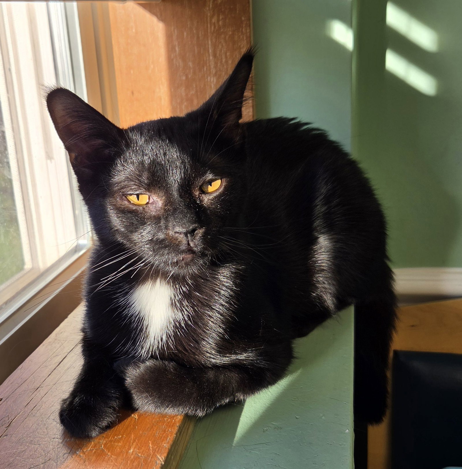 Linus