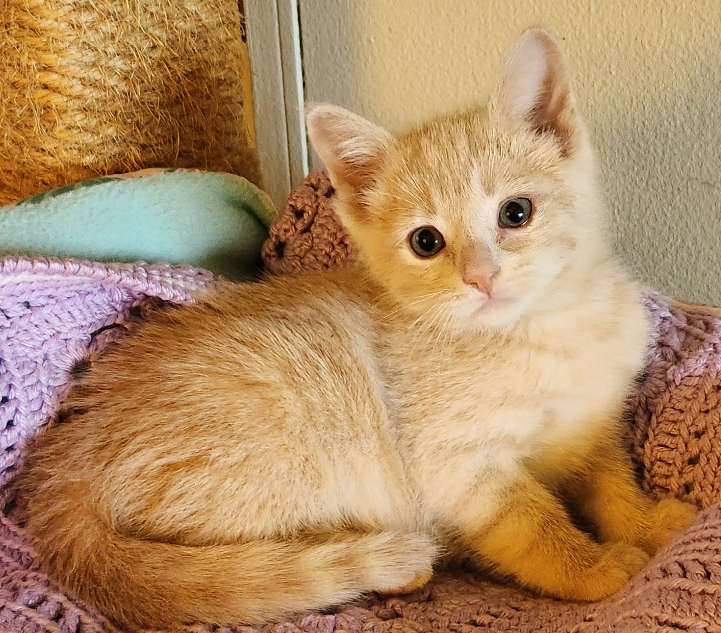 Lenny