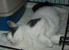 Wilma