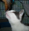Wilma