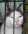 Wilma