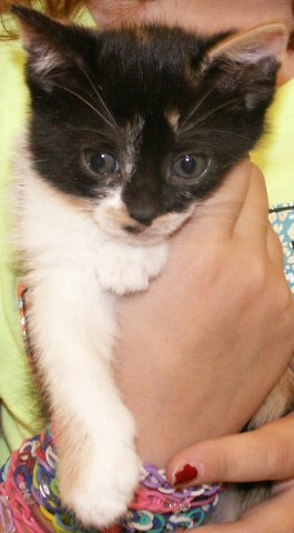 Lucy