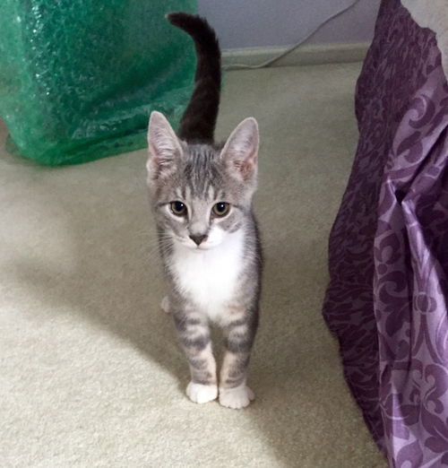 Milo