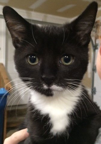 Vinny