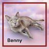 adoptable Cat in Visalia, CA named *BENNY