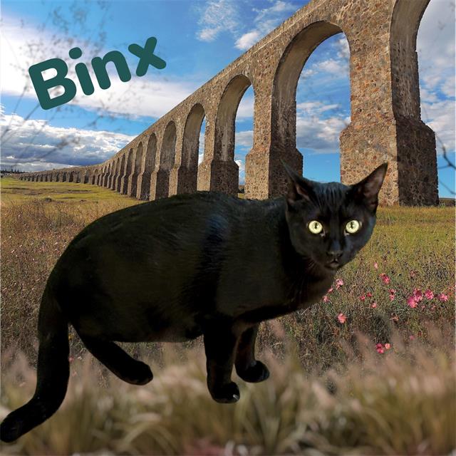 BINX Image