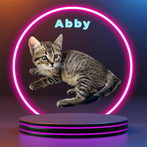 *ABBY