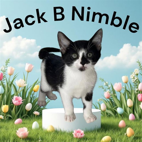 *JACK B. NIMBLE
